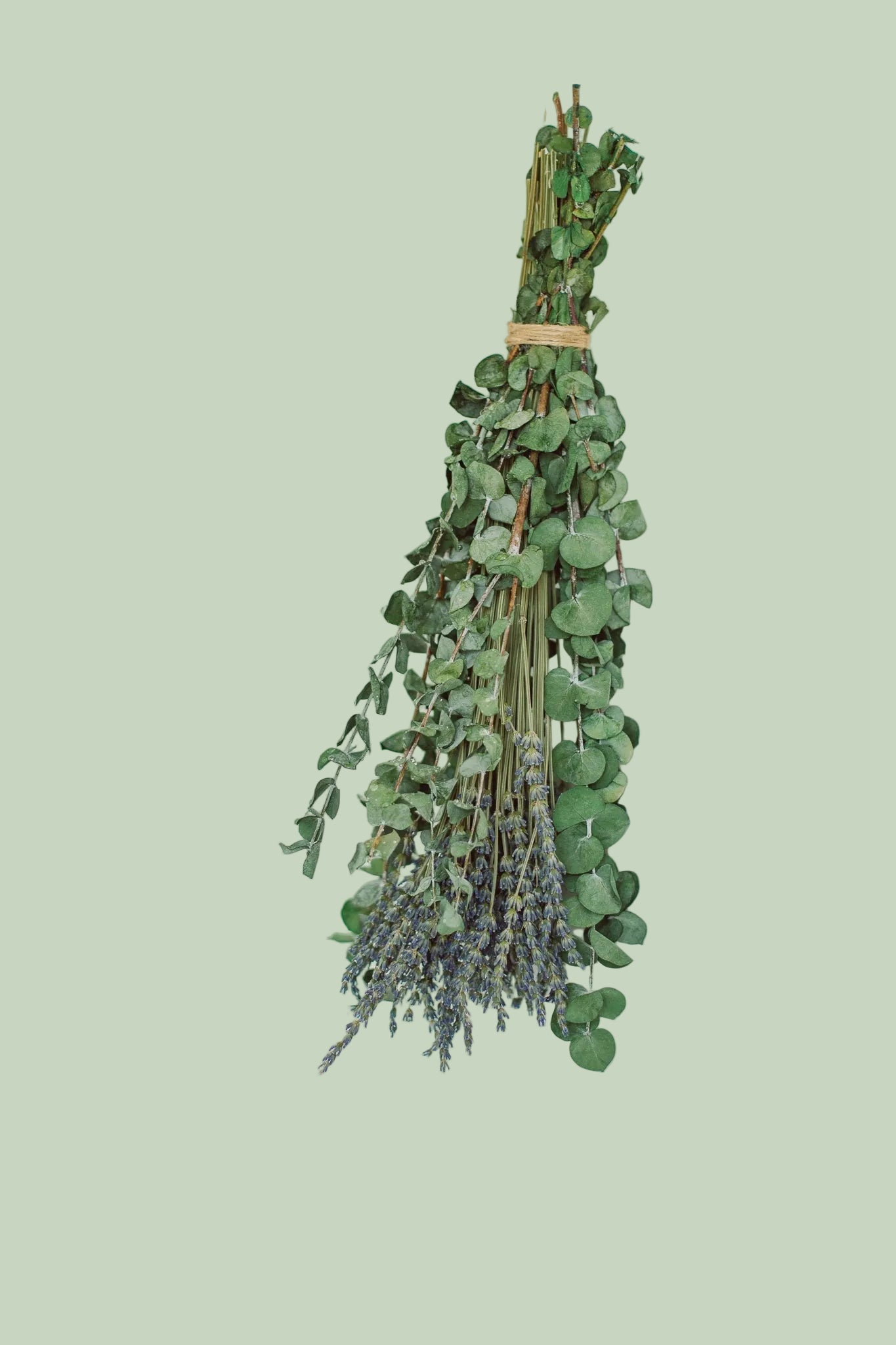 Classic eucalyptus and lavender shower bundle with purple lavender sprigs on sage green background — Sensory for Calm