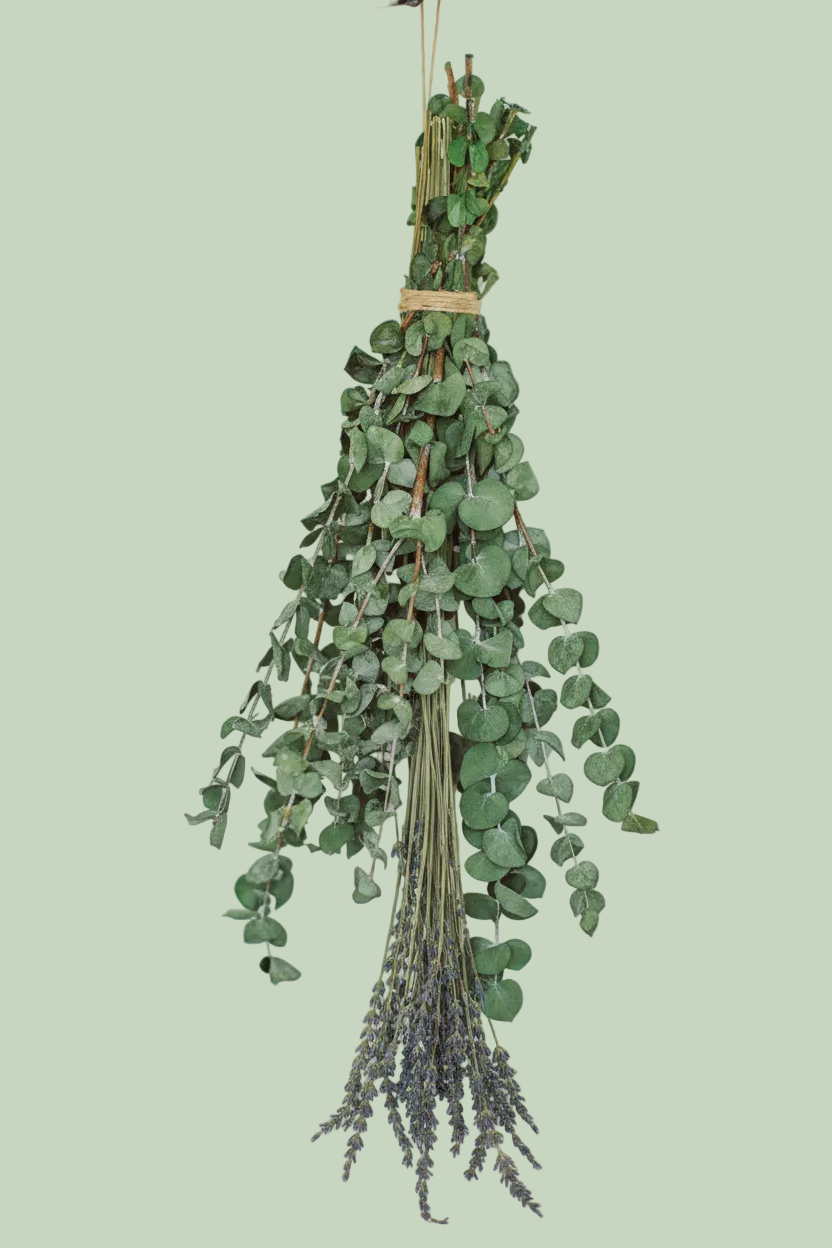 Large eucalyptus and lavender shower bundle with purple lavender sprigs on sage green background — Sensory for Calm