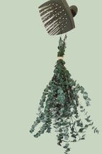Eucalyptus shower bundle hanging from shower head with natural twine — Sensory for Calm
